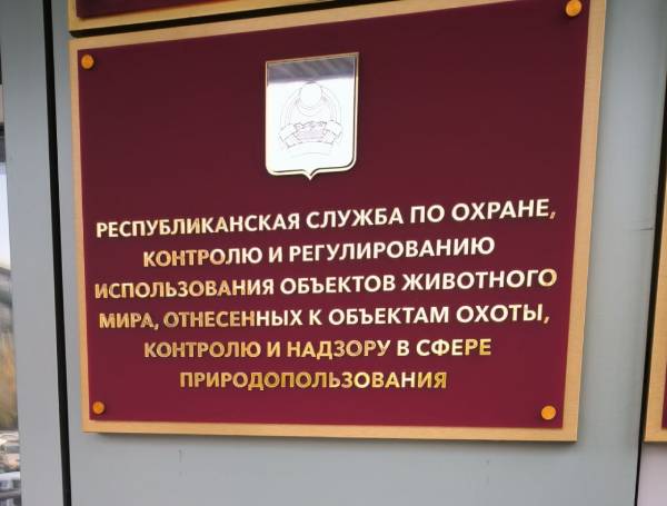 Сотрудниками отдела комплектования и ведомственных архивов проводится научно-техническая обработка документов Республиканской службы Бурприроднадзора